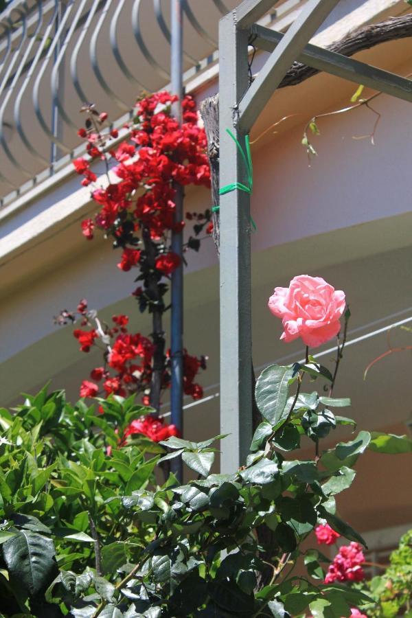 Apartments With A Parking Space Orebic, Peljesac - 10159 Exterior foto